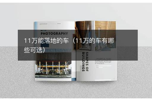 11万能落地的车（11万的车有哪些可选）