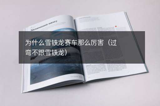 为什么雪铁龙赛车那么厉害（过弯不跟雪铁龙）