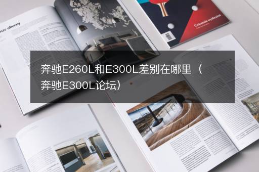 奔驰E260L和E300L差别在哪里（奔驰E300L论坛）