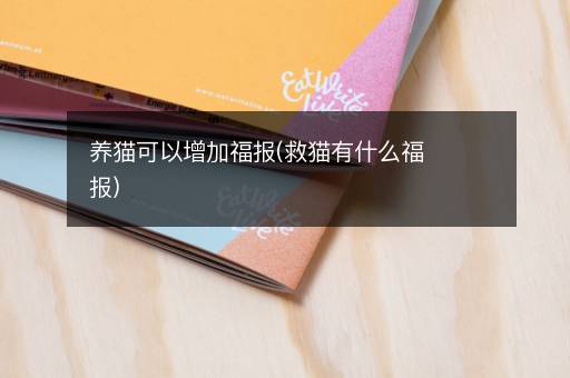 养猫可以增加福报(救猫有什么福报)