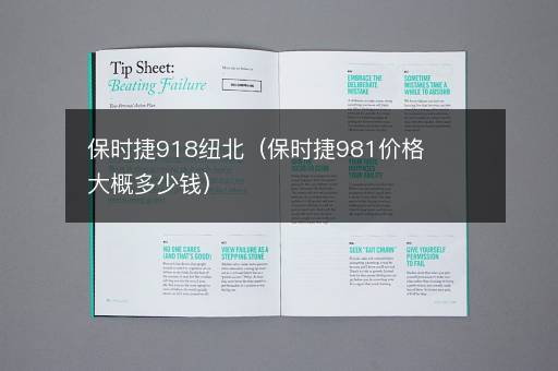 保时捷918纽北（保时捷981价格大概多少钱）