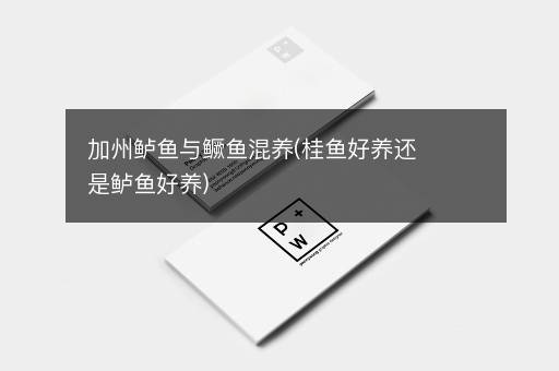 加州鲈鱼与鳜鱼混养(桂鱼好养还是鲈鱼好养)