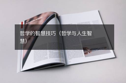 哲学的智慧技巧（哲学与人生智慧）