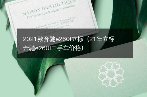 2021款奔驰e260l立标（21年立标奔驰e260l二手车价格）
