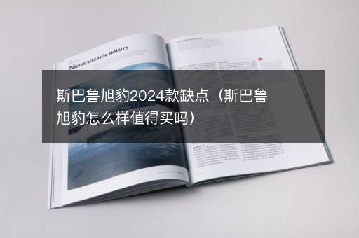 斯巴鲁旭豹2024款缺点（斯巴鲁旭豹怎么样值得买吗）