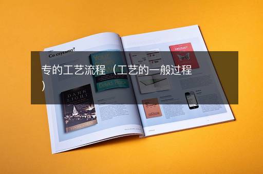 专的工艺流程（工艺的一般过程）