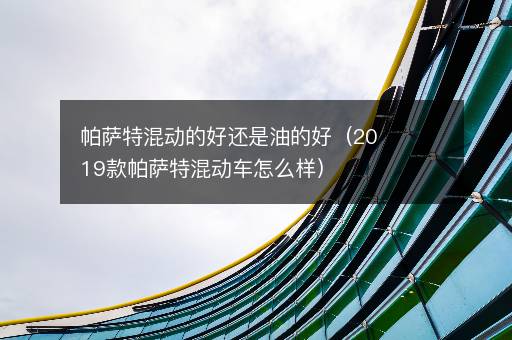 帕萨特混动的好还是油的好（2019款帕萨特混动车怎么样）