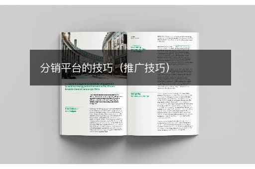 分销平台的技巧（推广技巧）