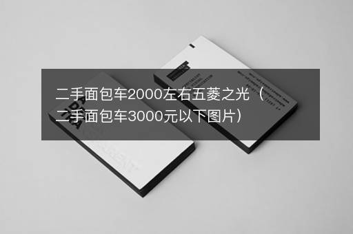 二手面包车2000左右五菱之光（二手面包车3000元以下图片）