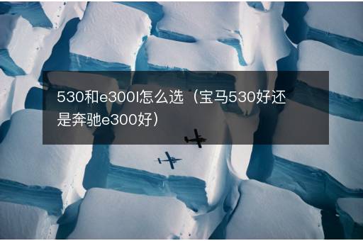 530和e300l怎么选（宝马530好还是奔驰e300好）