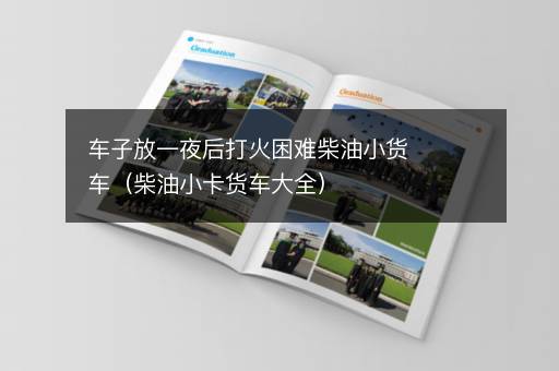车子放一夜后打火困难柴油小货车（柴油小卡货车大全）