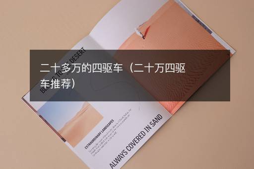二十多万的四驱车（二十万四驱车推荐）